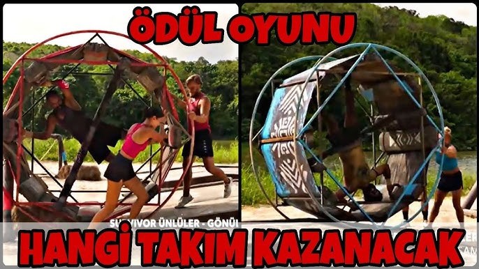 Suvivor