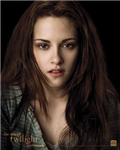 Poster New Moon