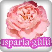 Isparta Gülü