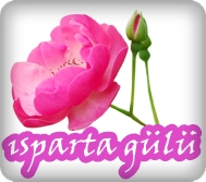 Isparta Gülü