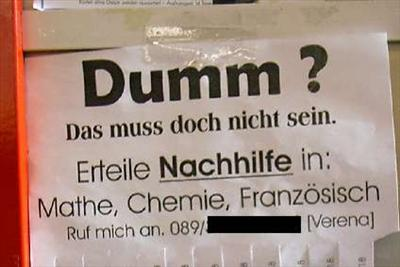 Bist Du Wirklich Dumm ?