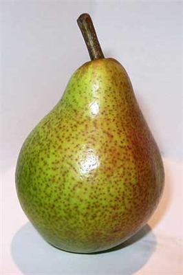 pear