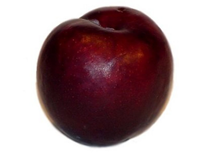 plum