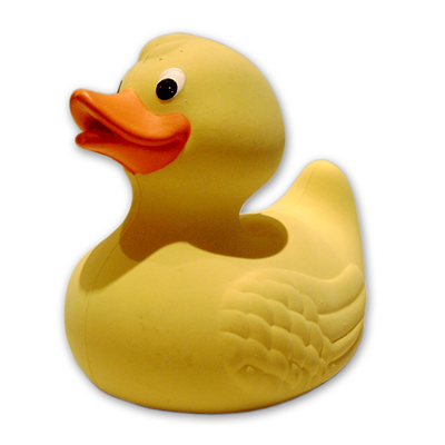 duck