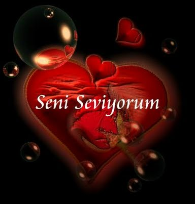 Seni Seviyorum