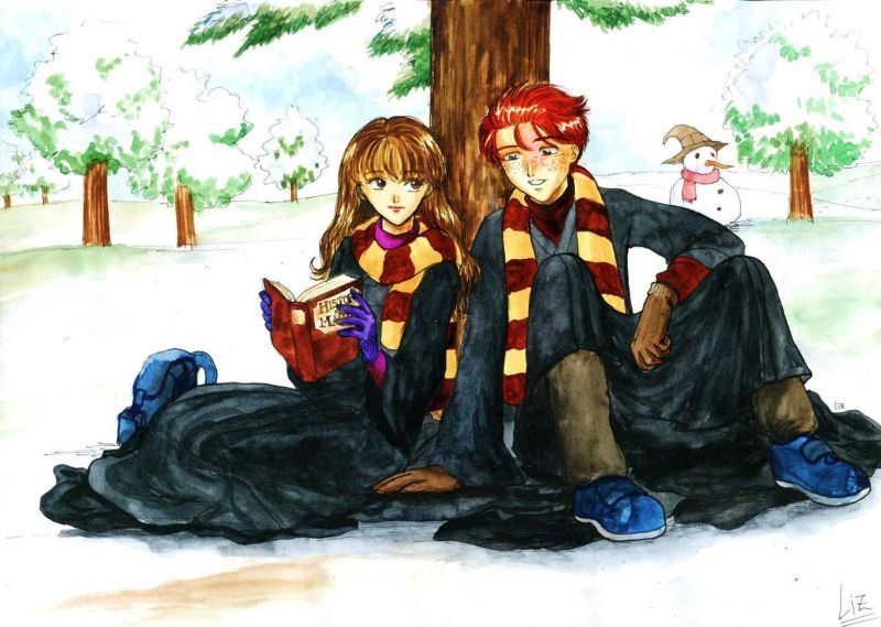 Hangi Harry Potter Karakterisin?