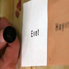 Referandum Anketi