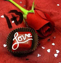 Love Rose