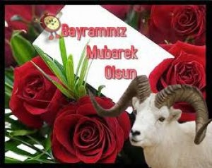 Kurban bayramınız Mübarek Olsun