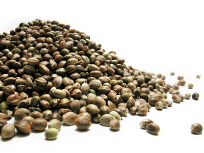 Seeds