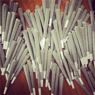 Tons of Marijuana