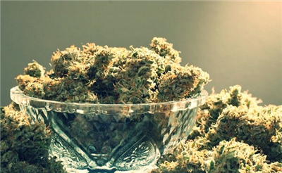 Bowl of marijuana