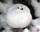 Boules De Neiges