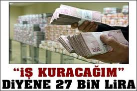 Hibe Almaya Uygun Musunuz?