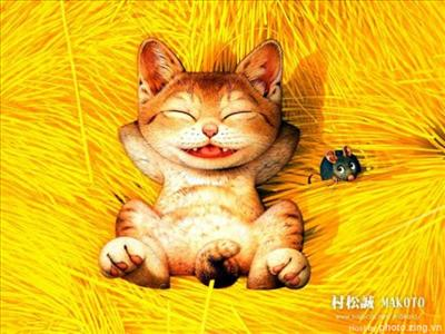 Bạn Tinh Tướng Hay Khiêm Tốn??/