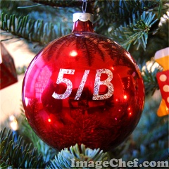 5B Anketi
