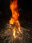 A Campfire To Keep You Warm!