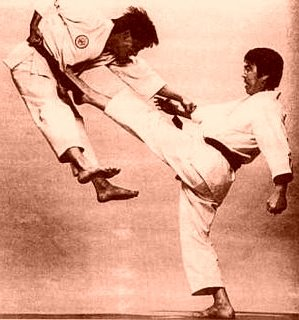 Patada Karate