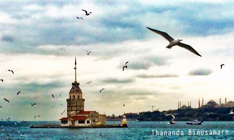 Tarzındaki Dizi