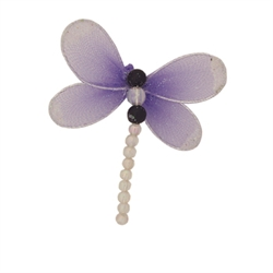 Delicate Dragonfly