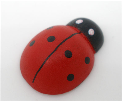 Lucky Ladybug