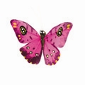 Crafty Butterfly