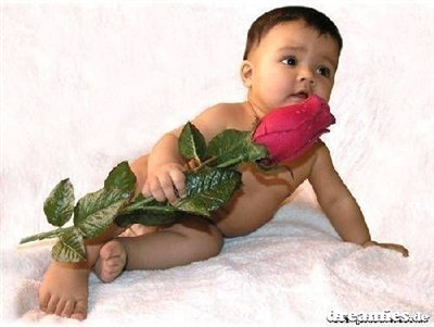 rose