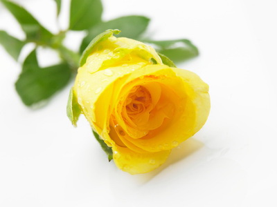 Yellow - Friendship