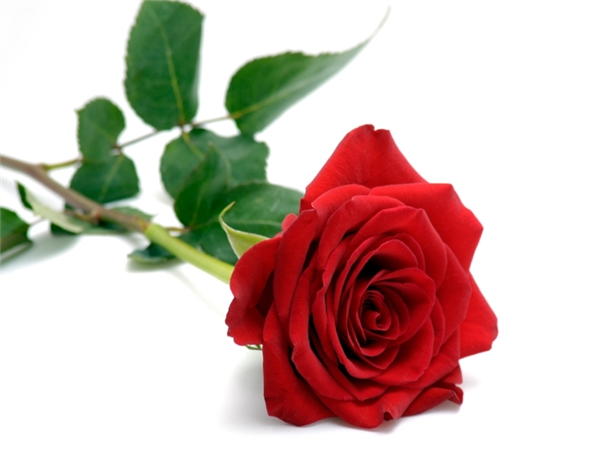 Red - Love
