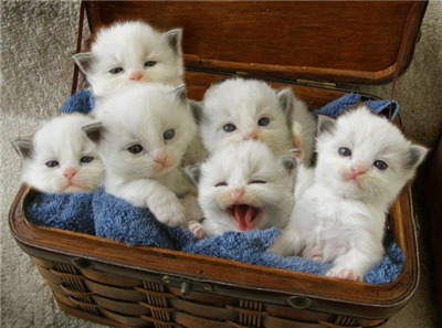 Happy Weekend !