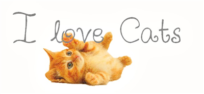 i<3cats