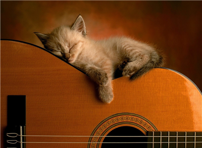 Wish you Goodnight!