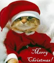 Merry Christmas!