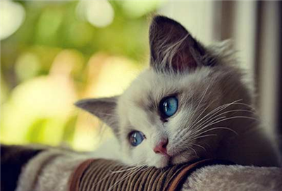 I miss you !