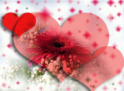  Have A Nice Day