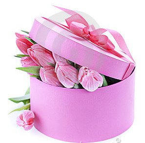 Beautiful Flowers