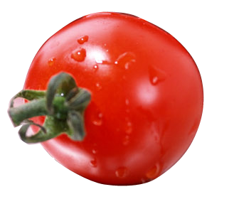 TOMAT MERAH