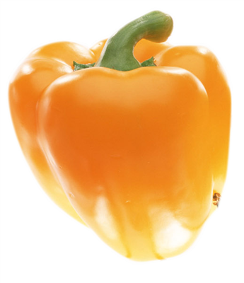 PAPRIKA KUNING