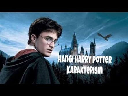 Hangi Harry Potter Karakterisin?