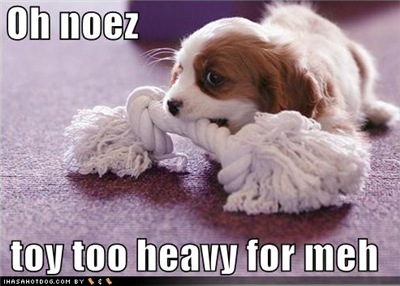 Puppyishthings