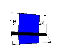 Nintendo DS