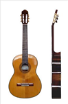 Hangi Guitar Türüsün?