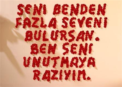 seni seviyorum