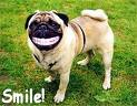 Smiling Gifts