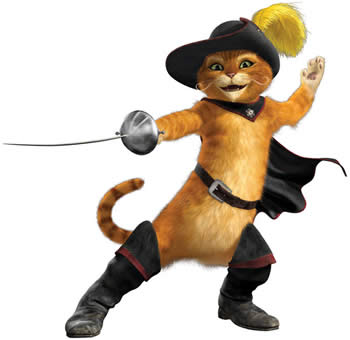 Top Gato Da Semana
