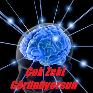 Ne Kadar Zekisin?