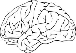 Your Mind is Sharp today!