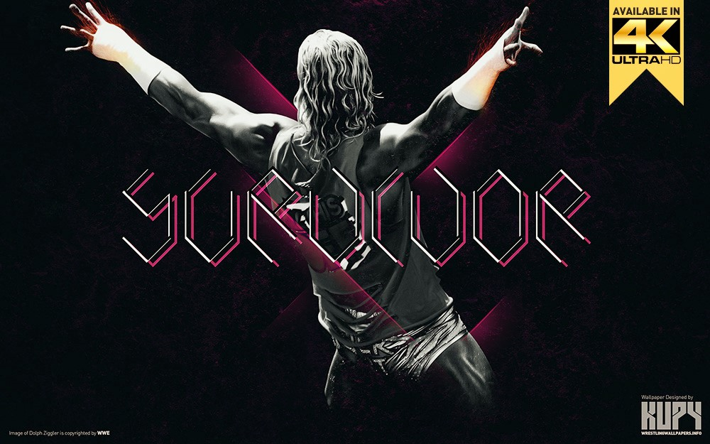 Que Luchador De Wwe Eres