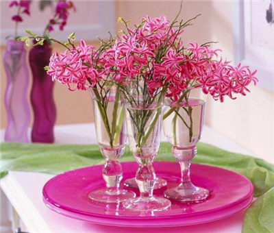 HAVE A NİCE DAY