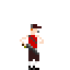 Scout